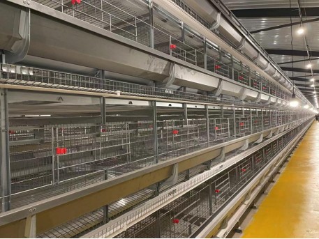 Philippines 30,000 Birds Automation Project