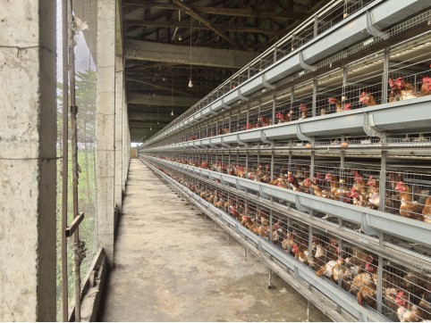 H Frame Automatic Layer Project in Nigeria