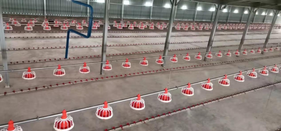 Broiler Floor Raising system